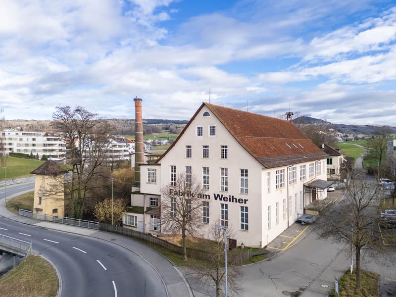 Practical commercial space with diverse usage possibilities for rent (1)