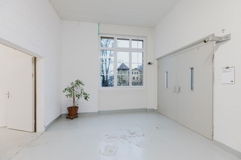 Practical commercial space with diverse usage possibilities for rent (6)