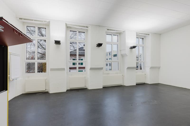 Practical commercial space with diverse usage possibilities for rent (5)