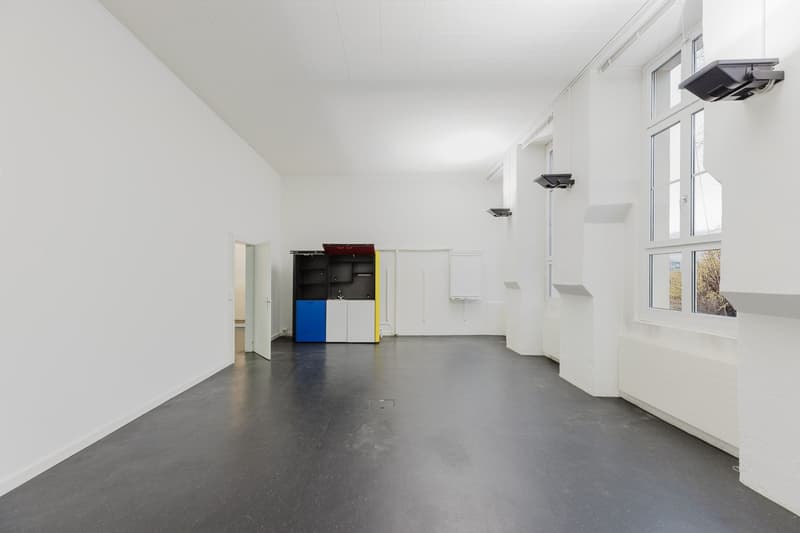 Practical commercial space with diverse usage possibilities for rent (4)