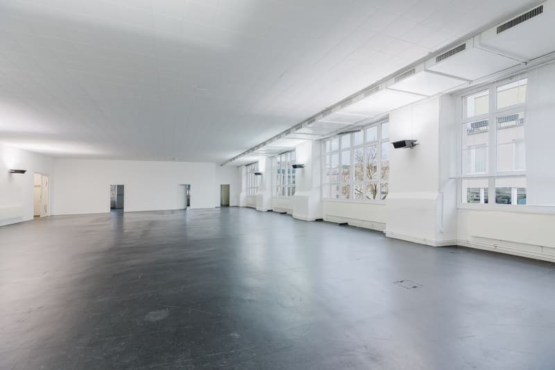Practical commercial space with diverse usage possibilities for rent (3)