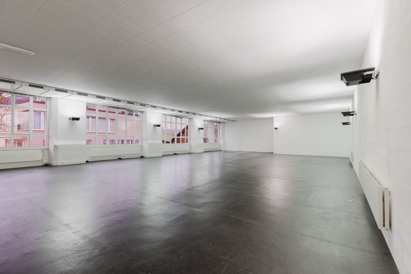 Practical commercial space with diverse usage possibilities for rent (2)