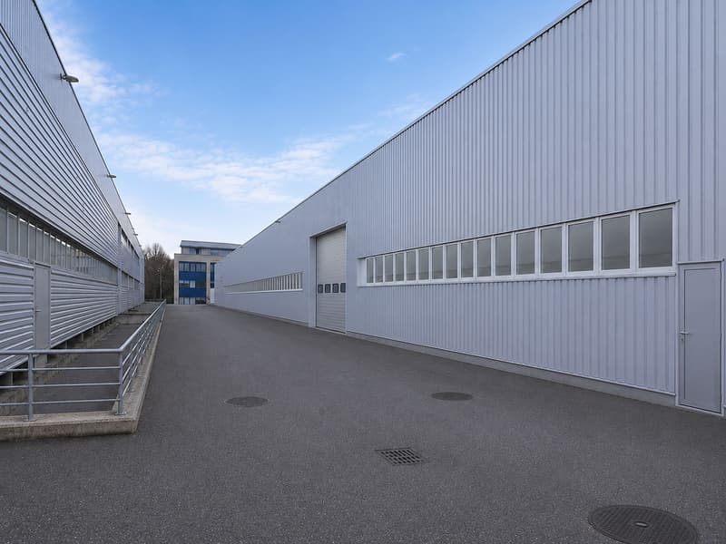 Die beste Halle in Tägerwilen und der ganzen Region! im Erdgeschoss! (3)