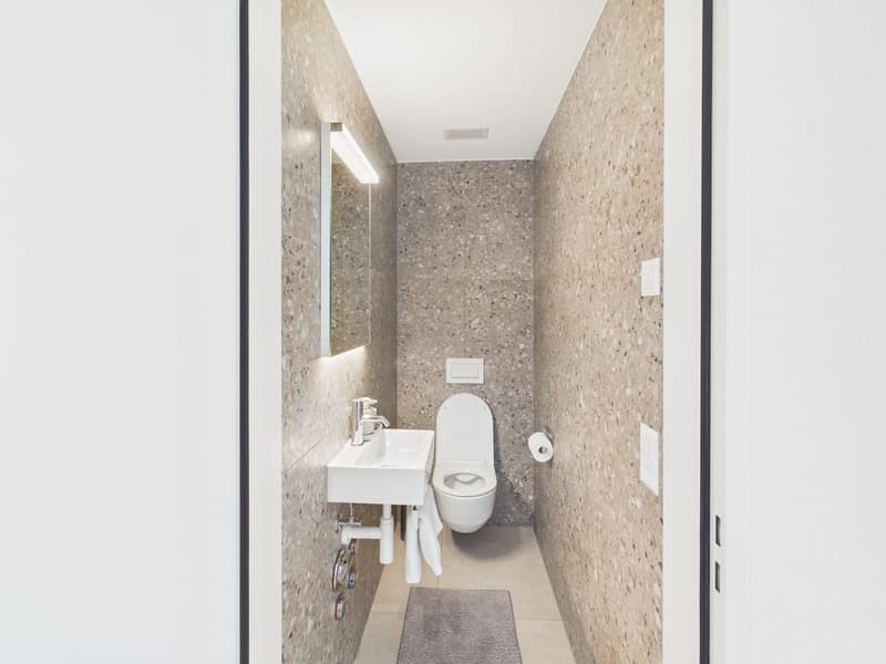 Lichtdurchflutete 3.5 Zimmer Penthousewohnung mit riesiger Terrasse, zentral in Luzern (7)