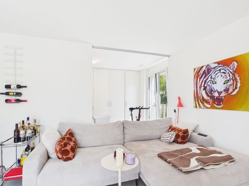 Lichtdurchflutete 3.5 Zimmer Penthousewohnung mit riesiger Terrasse, zentral in Luzern (12)