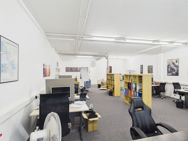 Büro/-Gewerbefläche an TOP Lage zu vermieten (11)