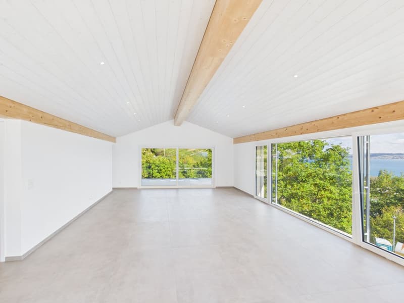Villa neuve de 7,5 pièces avec vue panoramique sur le lac de Morat (3)