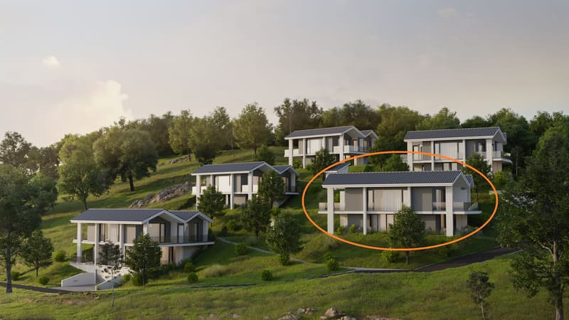 Villa neuve de 7,5 pièces avec vue panoramique sur le lac de Morat (1)