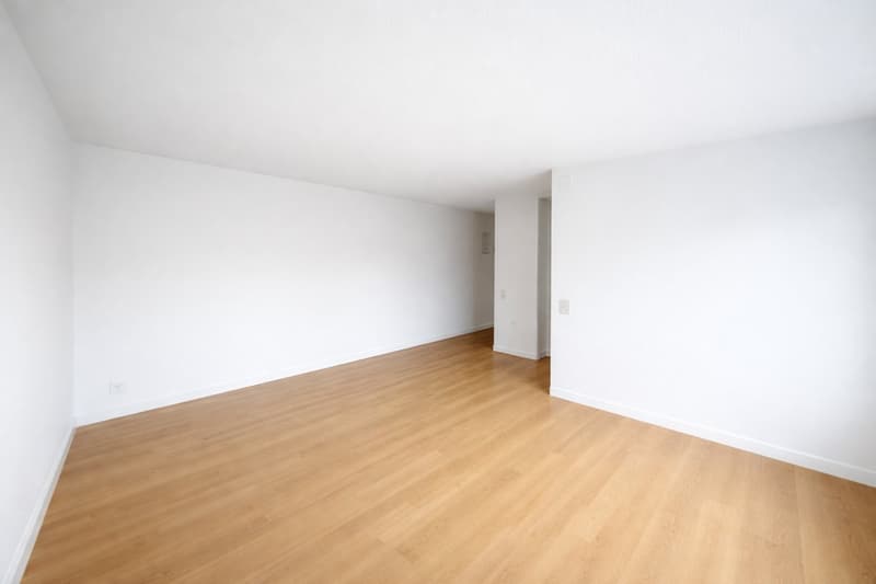 Charming 2.5-room apartment in La Chaux-de-Fonds (3)