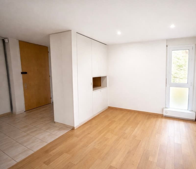 empty room, white walls, wooden flooring, built-in closet, large window with view of the outside