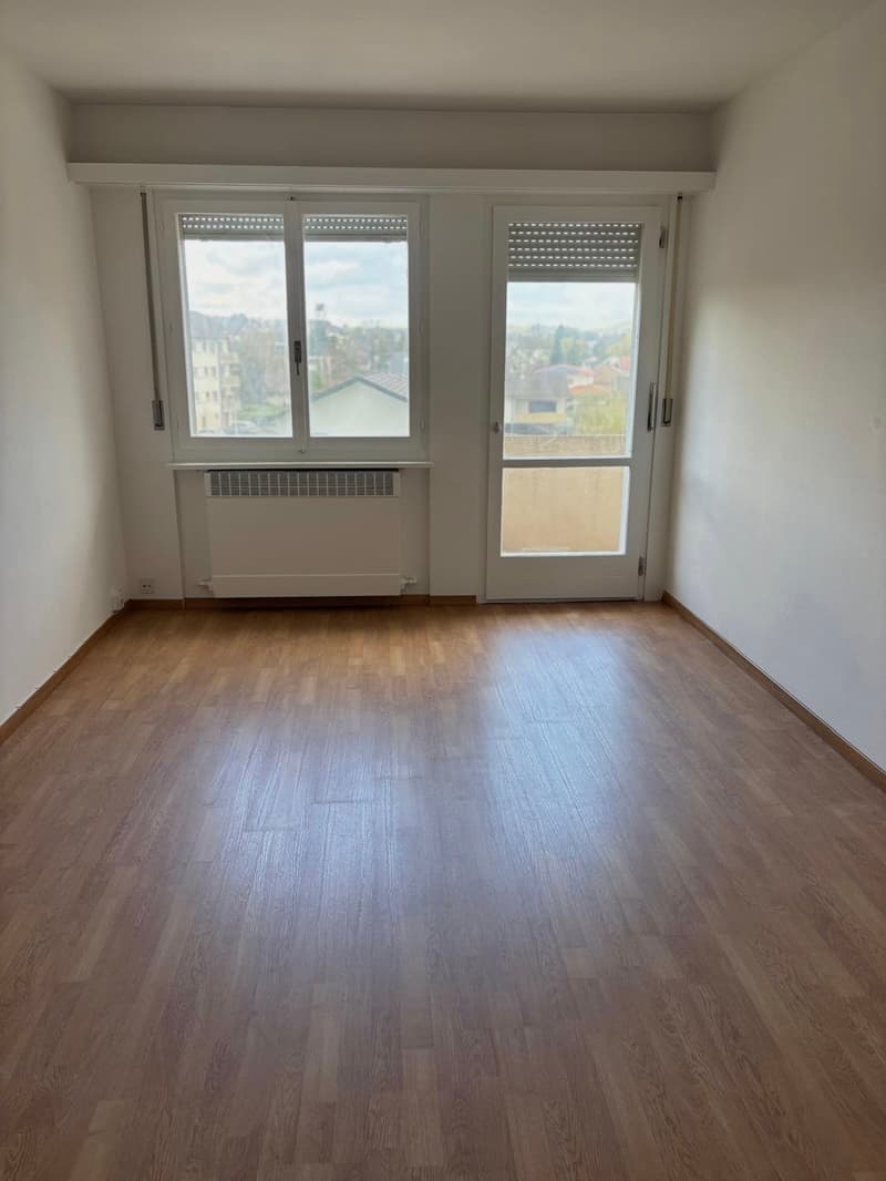 empty room, wooden floor, white walls, two windows, white radiator, glass door
