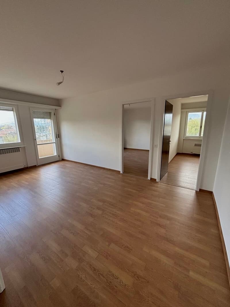 Empty room, wooden floor, white walls, glass doors, windows, radiators