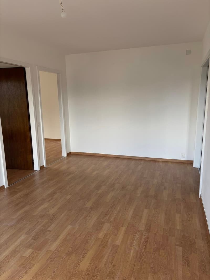 empty room, wooden floor, white walls, two doors, power outlets