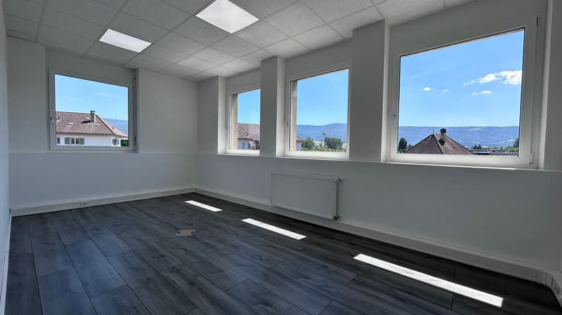 Da scoprire — 2 uffici ristrutturati in affitto a Delémont (4)