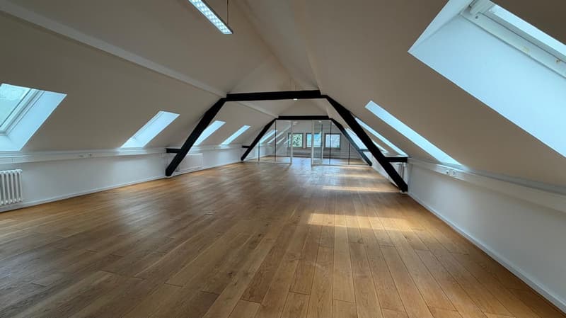 Loft atipico di 2.5 locali a Delémont – Charme dell'antico e confort moderno (5)