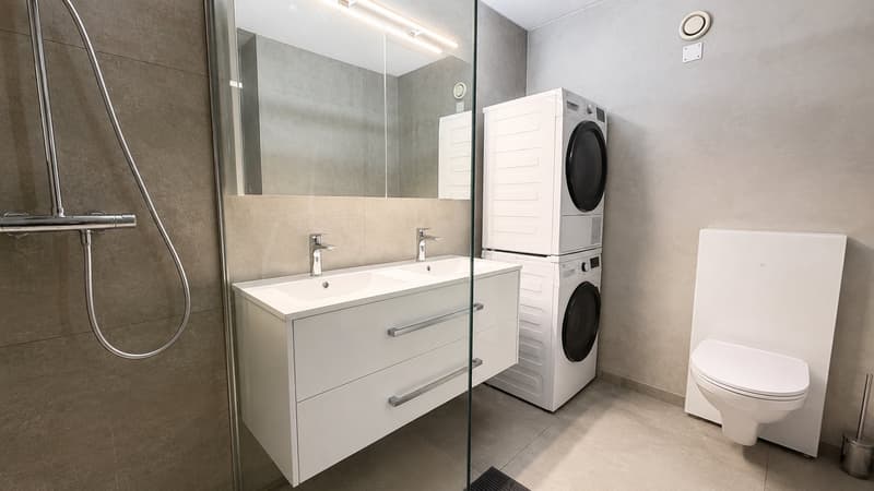 Superbe duplex lumineux de 3,5 pièces idéalement situé (9)