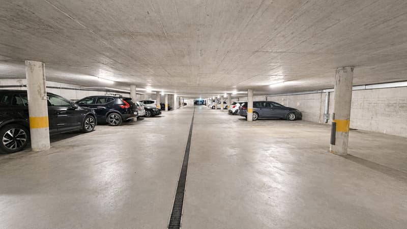 Superbe duplex lumineux de 3,5 pièces idéalement situé (13)