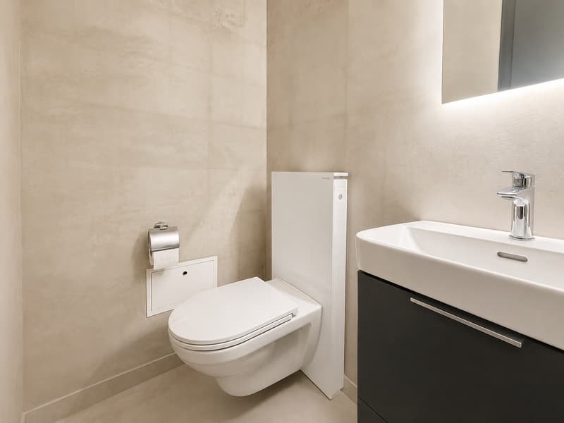 Superbe duplex lumineux de 3,5 pièces idéalement situé (12)