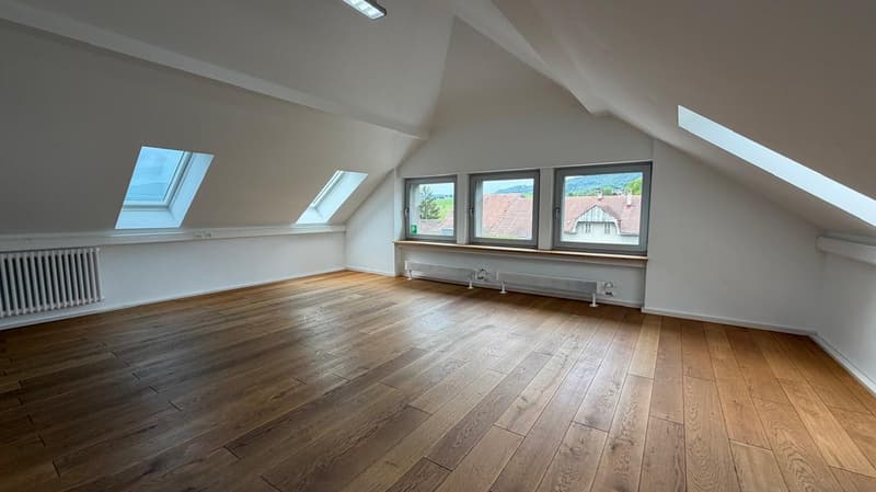 Loft de caractère de 2.5 pièces à Delémont – Disponible immédiatement (7)