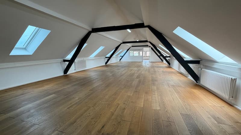 Loft de caractère de 2.5 pièces à Delémont – Disponible immédiatement (5)