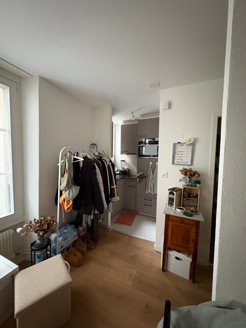 Au cœur de la ville de Morges : à louer magnifique appartement de 1 pièce (3)