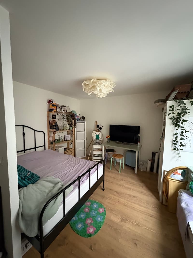 Au cœur de la ville de Morges : à louer magnifique appartement de 1 pièce (1)