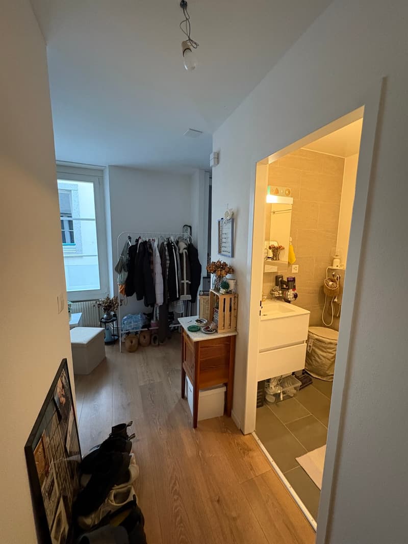 Au cœur de la ville de Morges : à louer magnifique appartement de 1 pièce (9)