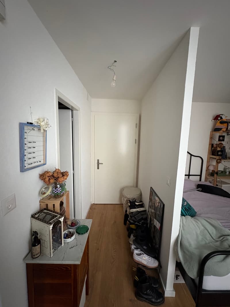 Au cœur de la ville de Morges : à louer magnifique appartement de 1 pièce (10)