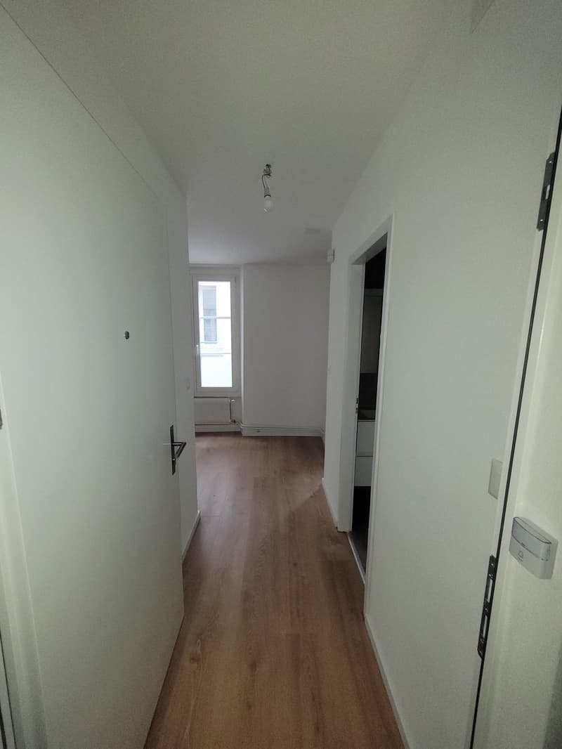 Au cœur de la ville de Morges : à louer magnifique appartement de 1 pièce (8)