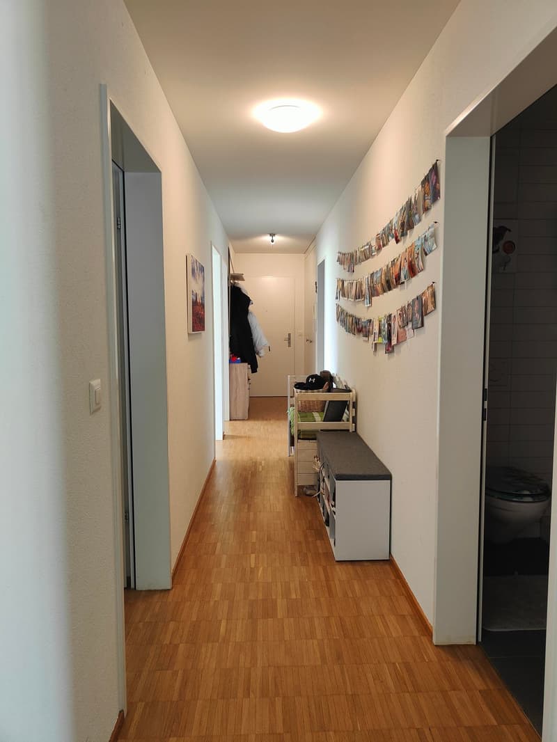 Appartement spacieux 4.5 pièces à louer (4)