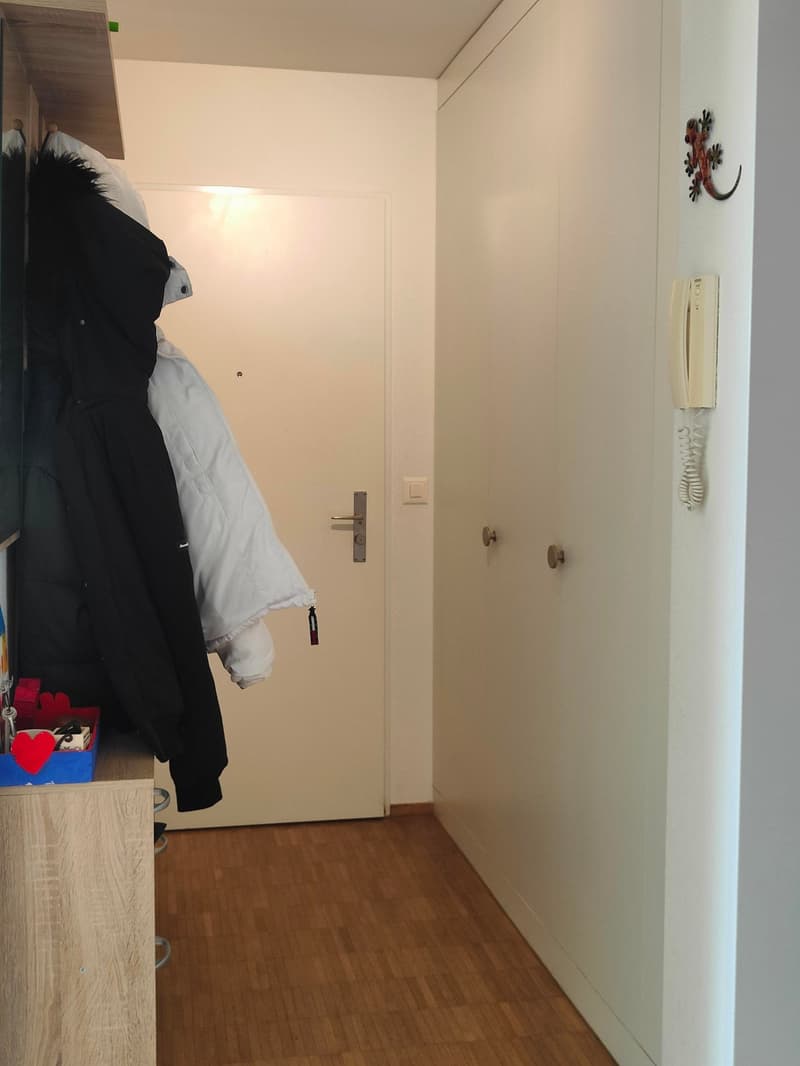 Appartement spacieux 4.5 pièces à louer (5)