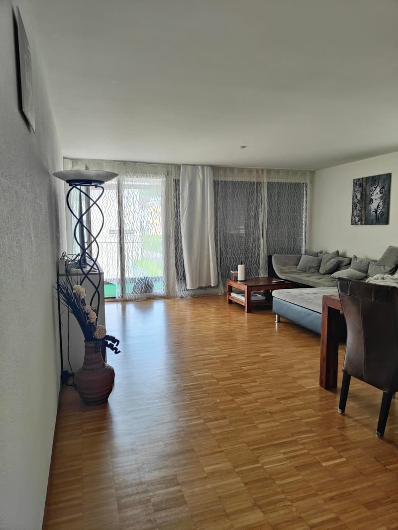 Appartement spacieux 4.5 pièces à louer (10)