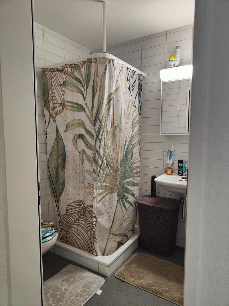 Appartement spacieux 4.5 pièces à louer (9)