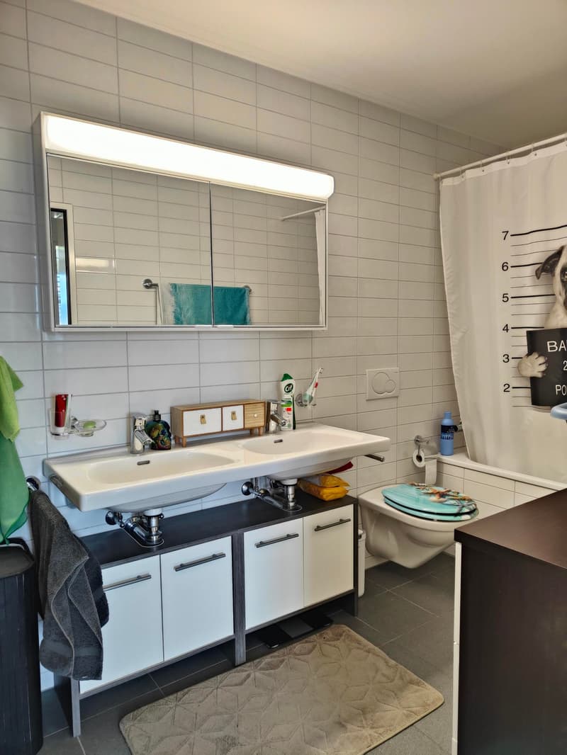 Appartement spacieux 4.5 pièces à louer (6)