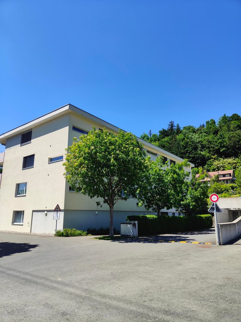 Beautiful, bright 3.5-room apartment in Ebikon (3)