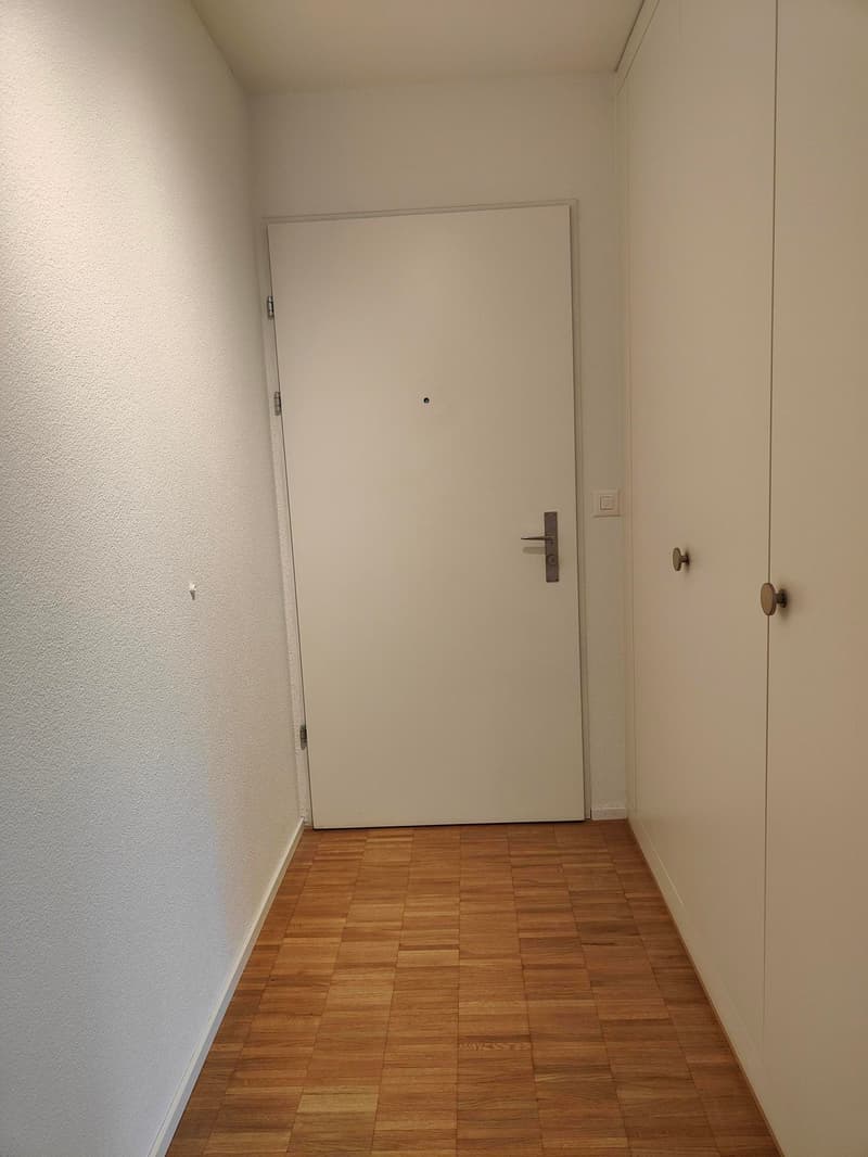Beautiful, bright 3.5-room apartment in Ebikon (8)