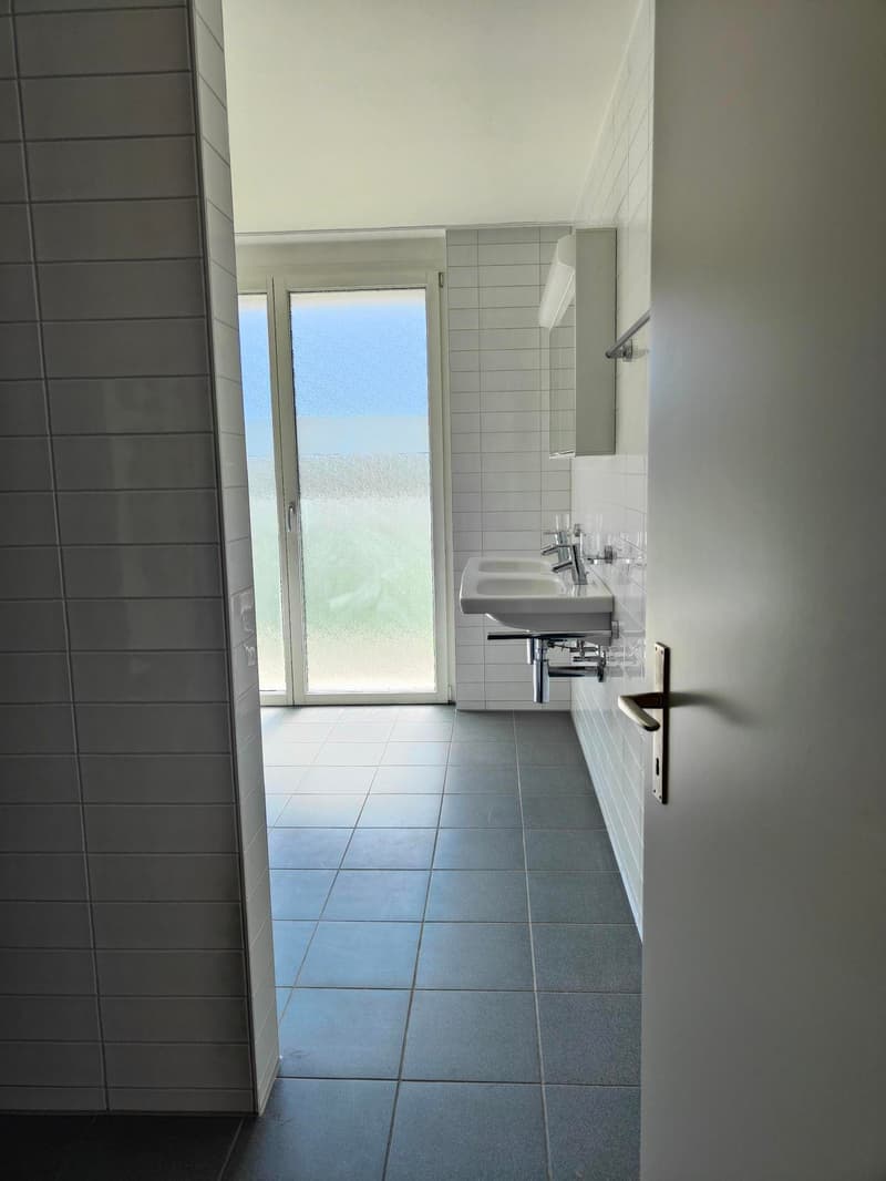 Beautiful, bright 3.5-room apartment in Ebikon (7)
