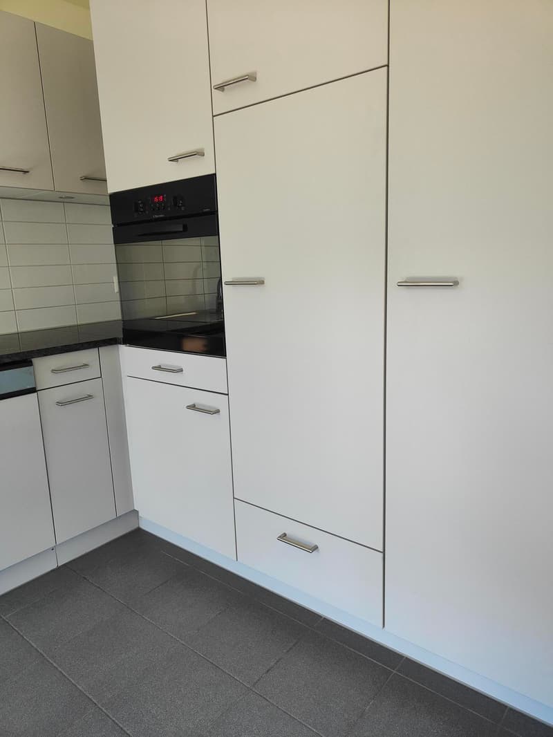 Beautiful, bright 3.5-room apartment in Ebikon (11)