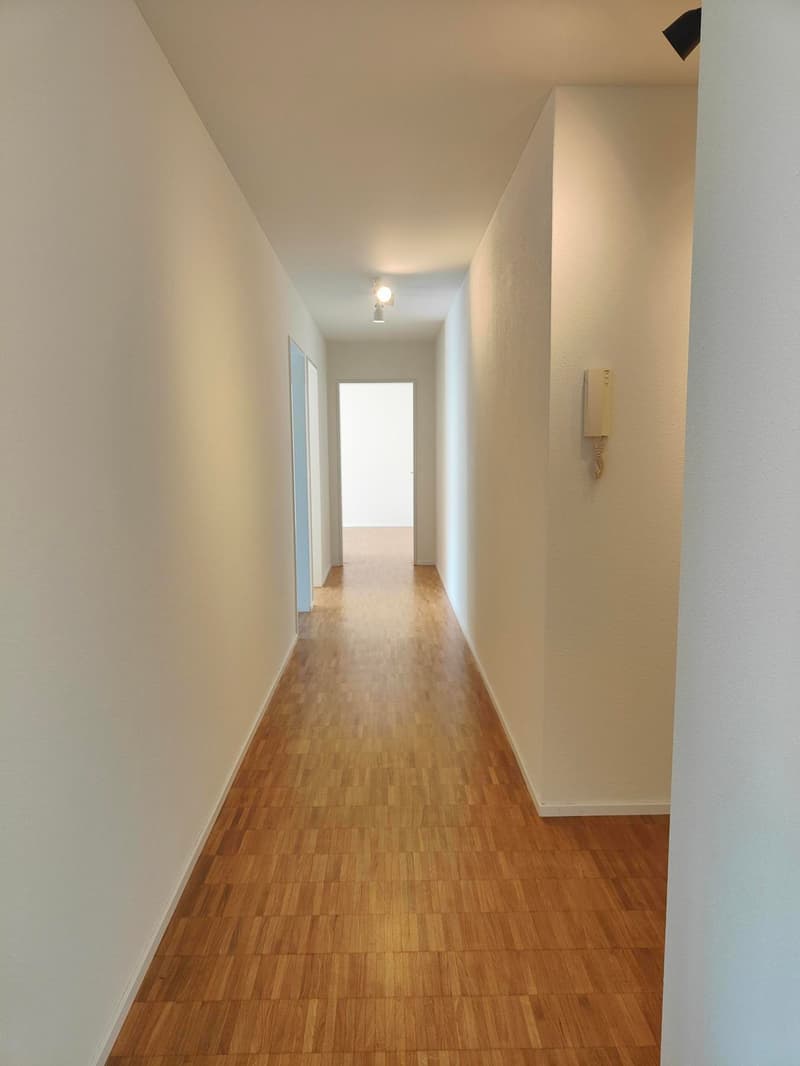 Beautiful, bright 3.5-room apartment in Ebikon (1)