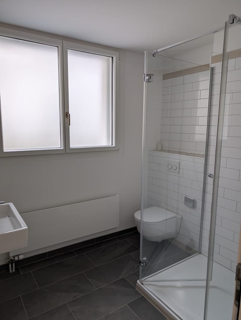 Central 4.5-room apartment near Lucerne train station (9)