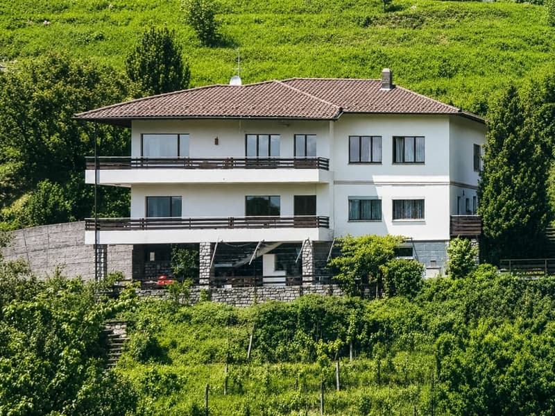 Große Villa mit drei Wohnungen, Pool und freier Aussicht (2)
