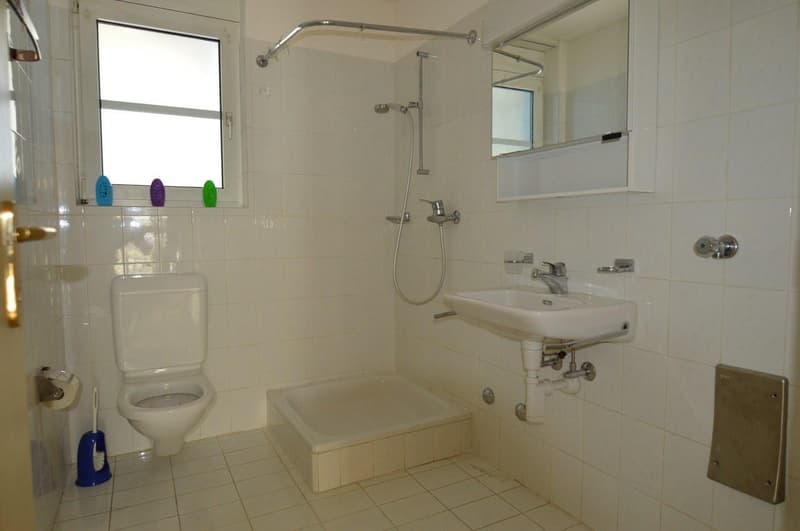 Appartement 3.5 pièces avec jardin à Pambio-Noranco (12)