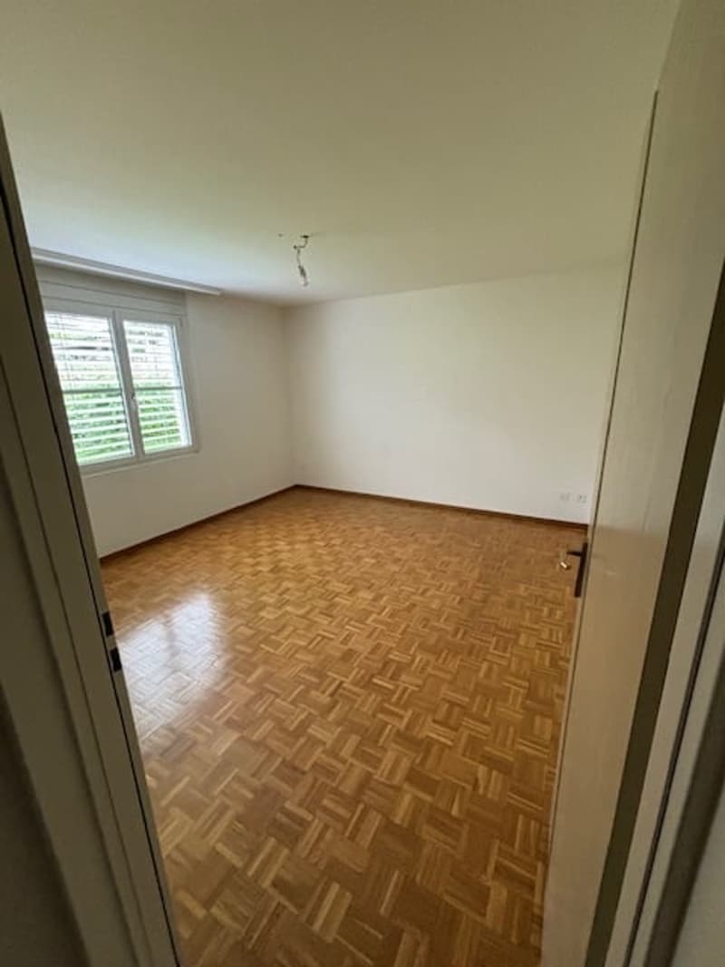 Appartement 4.5 pièces avec jardin à Pambio-Noranco (3)