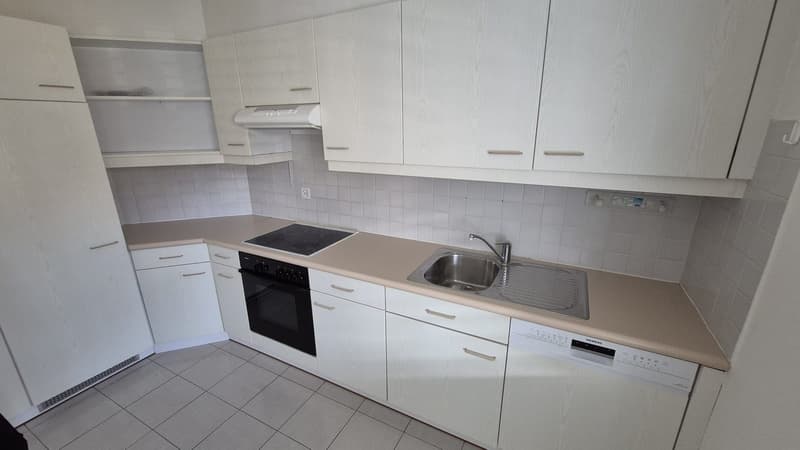 Beautiful 4.5-room apartment with balcony in Pambio-Noranco (4)