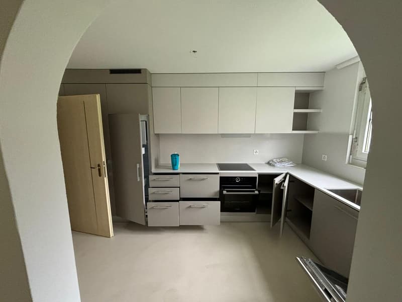 Apartment 4.5 rooms with garden in Pambio-Noranco (7)