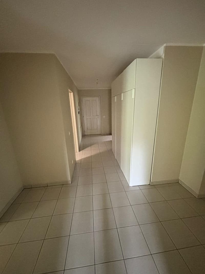 Apartment 4.5 rooms with garden in Pambio-Noranco (5)