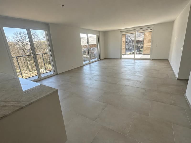 147 m² | 4.5-Zi.-Wohnung im 1. OG | grosszügige Terrasse (4)