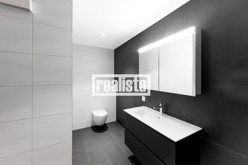 Penthouse de 5.5 pièces neuf et lumineux (7)