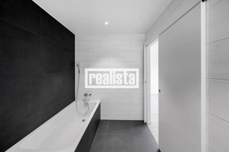 Penthouse de 5.5 pièces neuf et lumineux (8)
