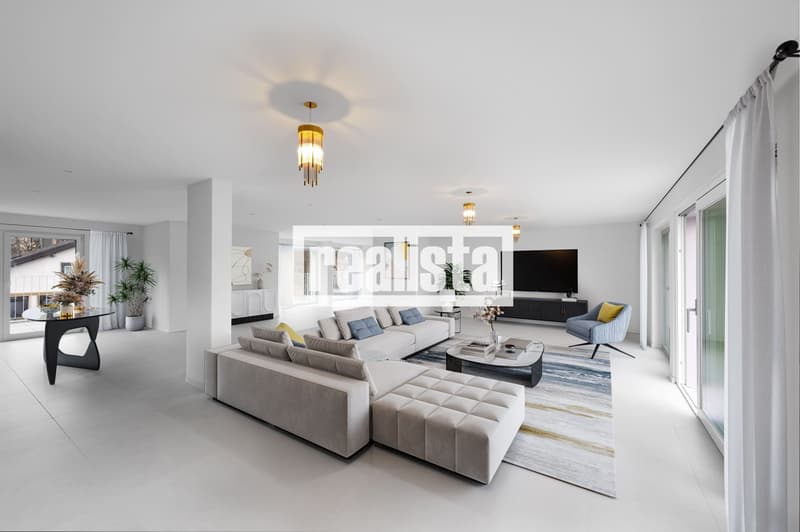 Penthouse de 5.5 pièces neuf et lumineux (3)